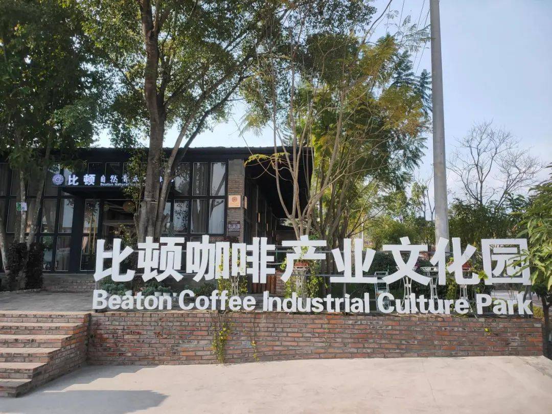 合发展 推动特色产业兴旺AG真人隆阳：咖啡产业融(图4)